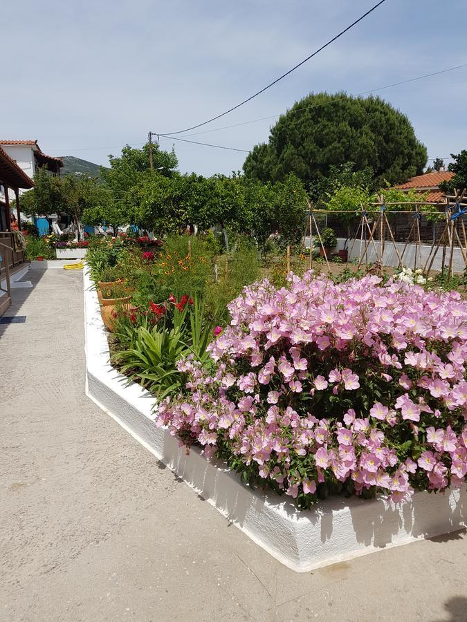 Asimina'S House Aparthotel Skiathos Town Exterior photo